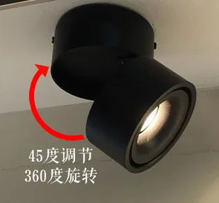 Surface Mount 12W Ajustable Led Downlight