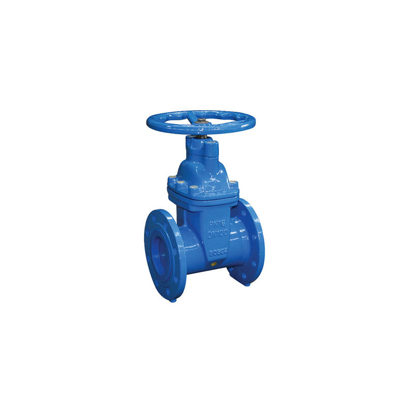 Corrosion Resistant Stainless Steel Gate Valve