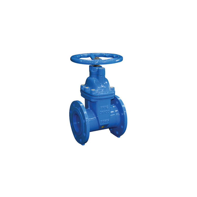 Corrosion resistant stainless steel gate valve