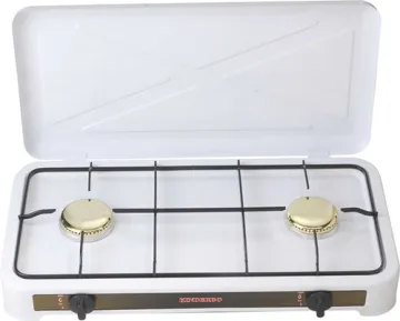 Two Burner Outdoor Gas Cooker