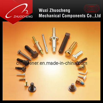 Carbon Steel&Stainless Steel Screw