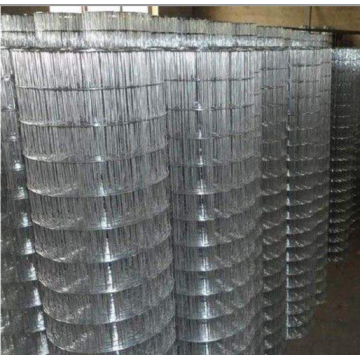 Mesh Welded Wire Mesh untuk Permohonan Pembinaan