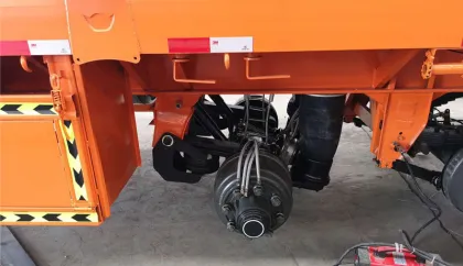 Hot Sale Germany BPW Trailer Axles/Heavy Truck Rear Axles