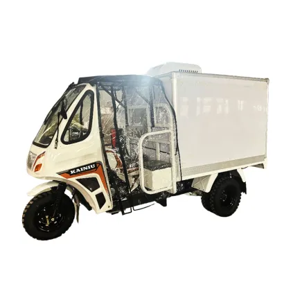 Durable Special Tricycle with Secure Cargo Box
