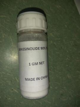 24-Epi-Brassinolide Promotes Crop Yield and Resilience
