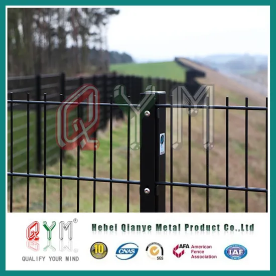 Twin Wire Welded Wire Mesh Panel/ 868 Twin Wire Sports Mesh