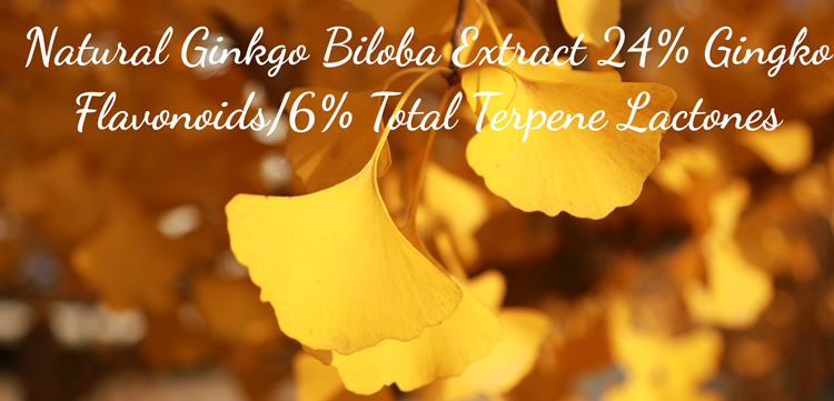 Ginkgo Biloba Extract4