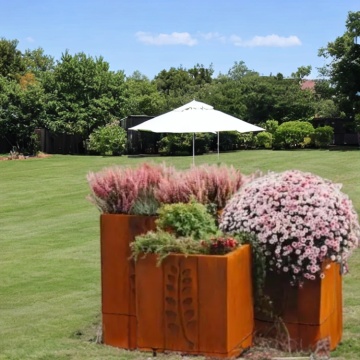 Wethering Steel Planter Boxes