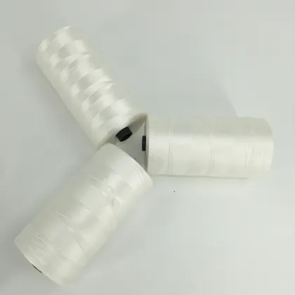 High Quality 210D Z/S Twist Nylon Twine Thread from China