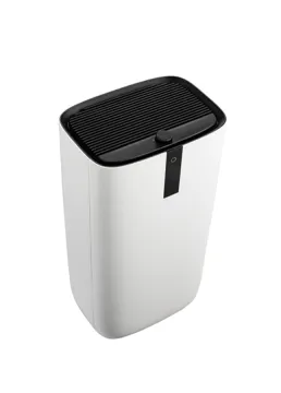 cheaper home ion air purifier