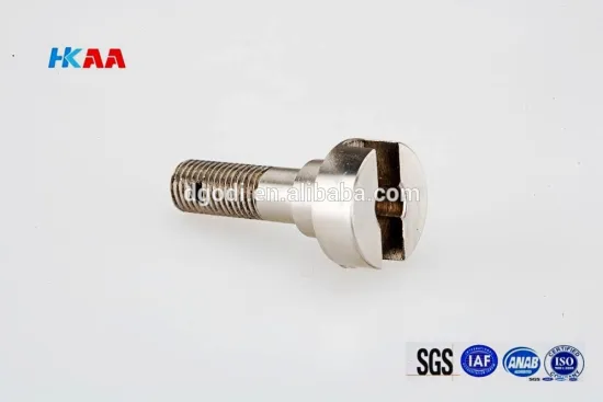 CNC Swiss Machining Adjusting Screw Made in China