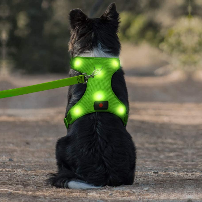 Usb Rechargeable No Pull Pet Vest Harness