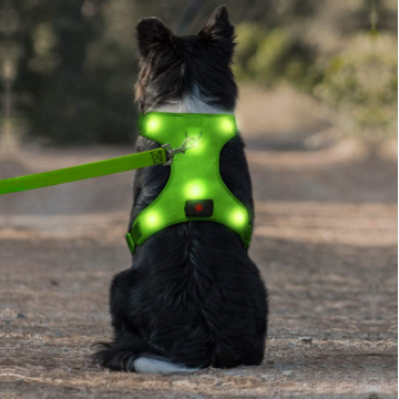 USB recargable sin arnés de chaleco mascota