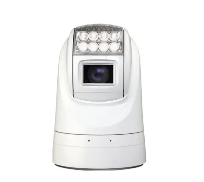IP67 Surveillance Sony CCD IR Camera