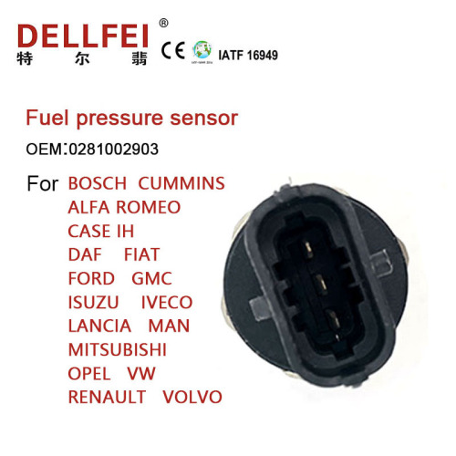 Người gửi áp suất nhiên liệu 0281002903 cho Ford Iveco Man