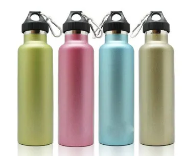 Stainless steel portable bottle