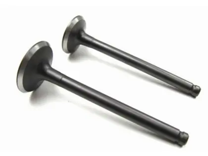 CATERPILLAR Construction Machinery Engine Valve