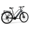 Individuelles Elektrofahrrad mit Beifahrersitz