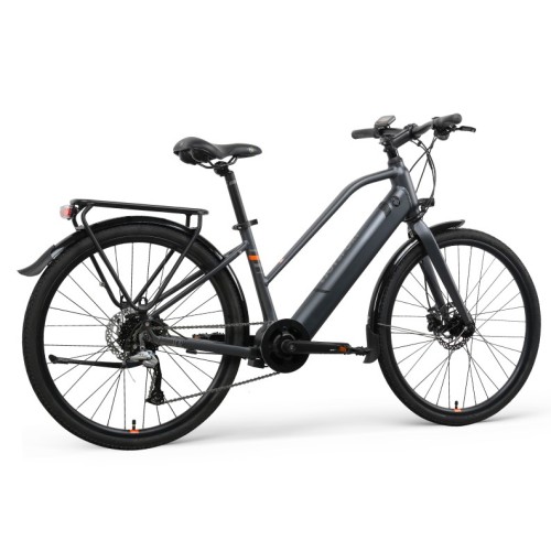 Charge City Ebike City Electric Bike With Passenger Seat Manufactory