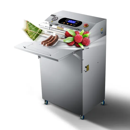 Ouxin OX600WL: New Design External Automatic Gas Flushing Stainless Steel Vacuum Sealer