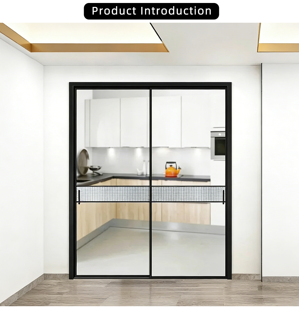 Modern Single Glass Sliding Door with Mesh YJ-R005 X