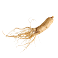 Hi-Q Natural Panax Ginseng Root Extract Powder