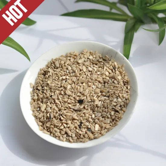 home business partner price of sunflower seeds