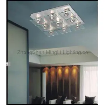 2012 Hot Popular New style Contemporary Ceiling Light For Household
