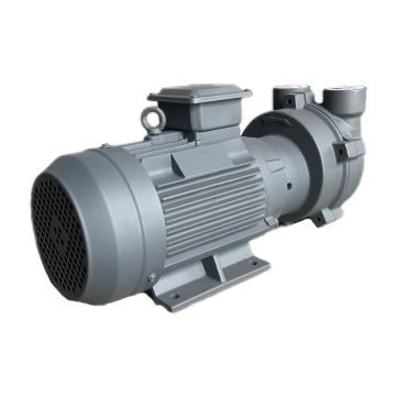 Modern Novel Design Factory Price Epoxy Resin Vacuum Pump" could be shortened and refined to:

"Factory Price Epoxy Resin Vacuum Pump - Modern Design