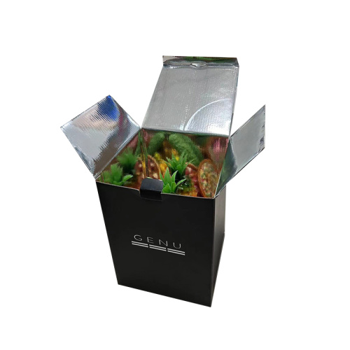 Thermal Cold Insulated Shipping Boxes
