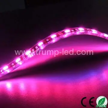 many types of led strips with high bright