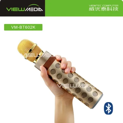 2017 Viewtec BT602 K Song Bluetooth Speaker