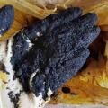 KRETAL HITAM BESI III KERJA KERJA INDUSTRI