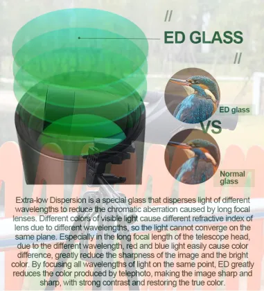 Professional BINOCK Telescope: 20-60x60 Monocular Reflector Optical Instruments & Spotting Scope