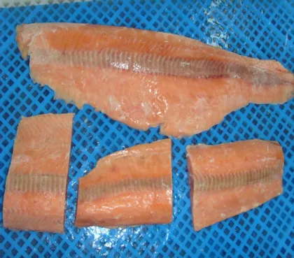 fresh frozen chum salmon