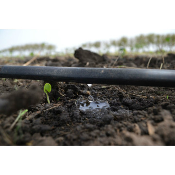 Skyplant PE Drip Irrigation Pipe for Watering