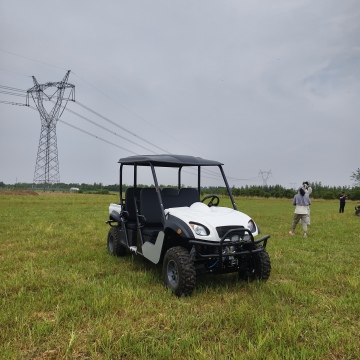  Lvcci 4-Seater Electric UTV for Farm Use