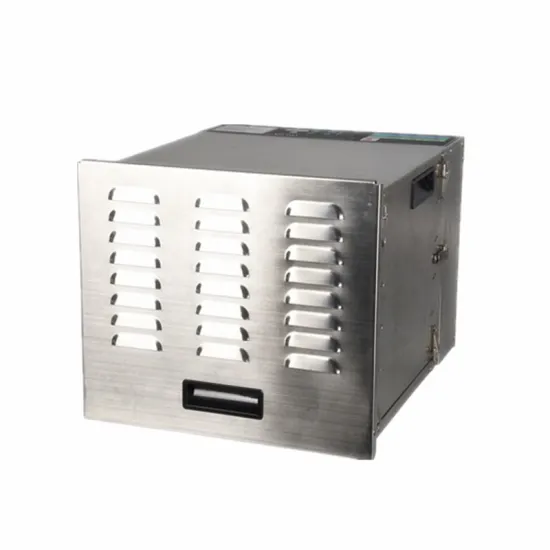 Big Power Stainless Steel Food Dehydrator BY1140: Your Ultimate Kitchen Tool for Healthy Snacking and Preserving
