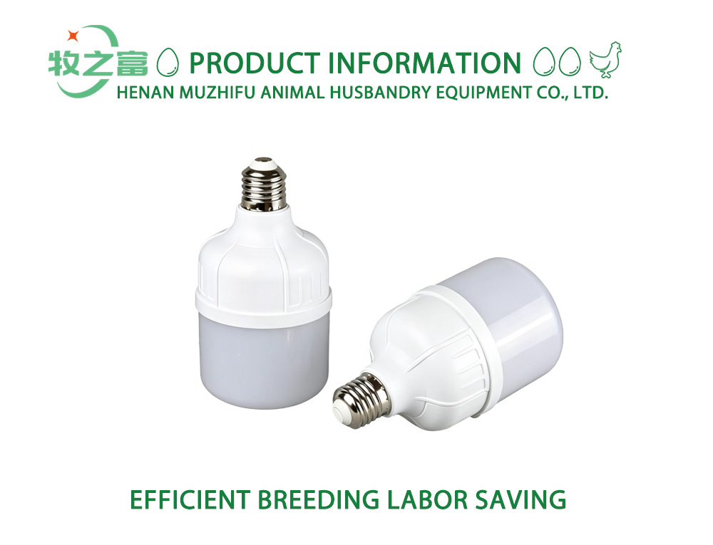 Poultry Farm LED Bulb X
