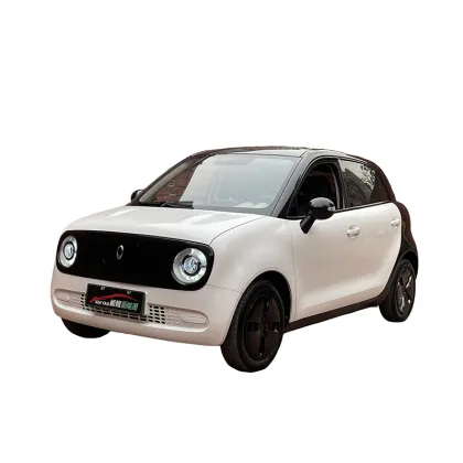 ORA Black Cat 301 Edition All-electric vehicle