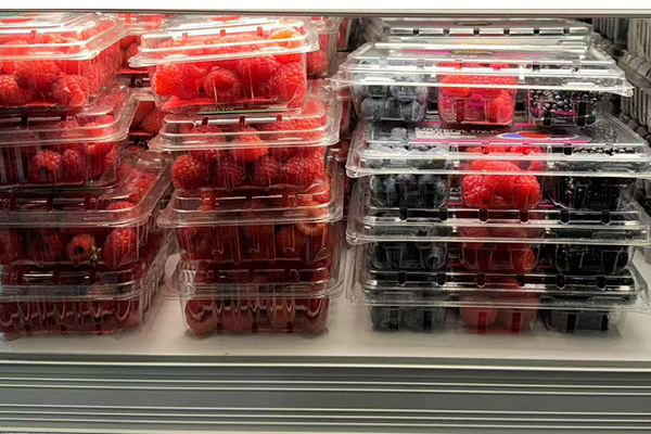 Sequoia Enterprise Ltd at Fruit Logistica Berlin 2025 Innovating Sustainable Fresh Produce Packaging! ✨ Sequoia Enterprise Ltd at Fruit Logistica Berlin 2025 Innovating Sustainable Fresh Produce Packaging! ✨
