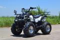 Bike quad a caldo ATV 110/125cc