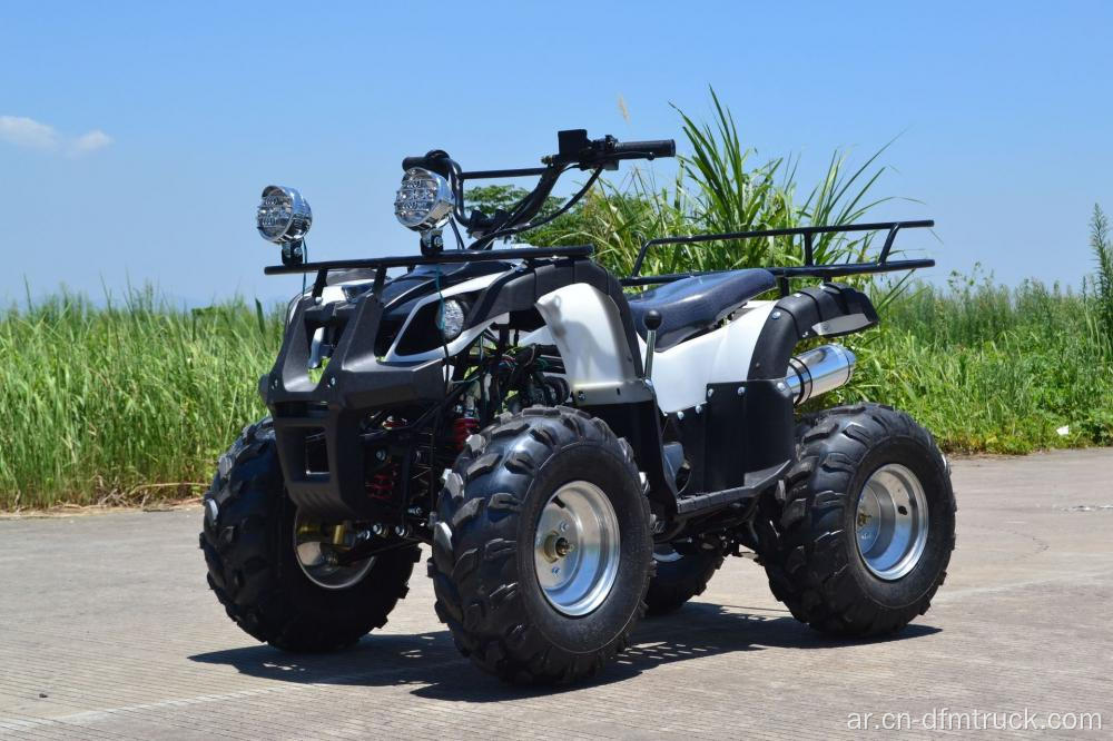 البيع الساخن ATV 110/125cc Quad Bikes