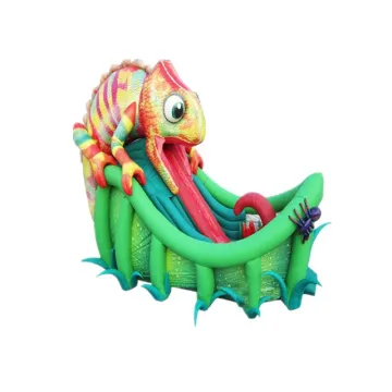 High Quality Outdoor Inflatable Combo Slide: Bouncer Slide and Jumping Castle for Sale