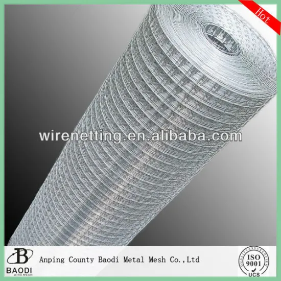Cheap 2x2 galvanized welded wire mesh factory