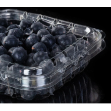 Kemasan kotak plastik blackberry blueberry