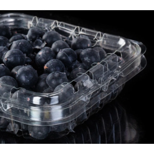 Emballage Boîte en plastique Blueberry Blueberry