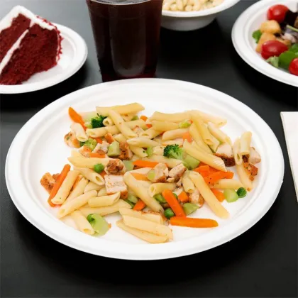 Biodegradable Dinner Plate Sugarcane Bagasse Paper Plates