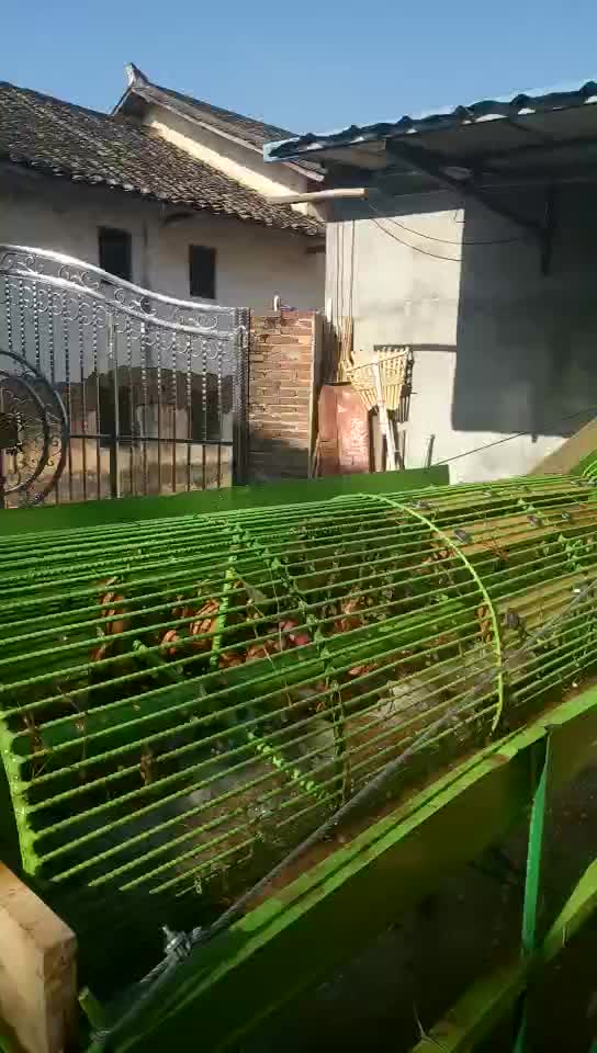 sweet potato industrial washing machine with conveyor