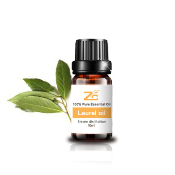 Natural Laurel Essential Oil For Skin Hair Care